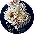 Dahlia Russ profile picture