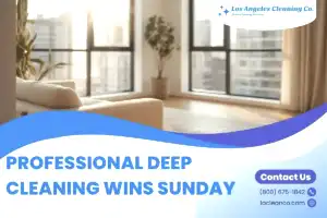 Promotional graphic for Los Angeles Cleaning Co. featuring a bright, spotless modern living room with large windows overlooking city buildings. The text reads: "PROFESSIONAL DEEP CLEANING WINS SUNDAY." Includes a "Contact Us" section with the phone number (800) 675-1842 and website adhereagaces.shop